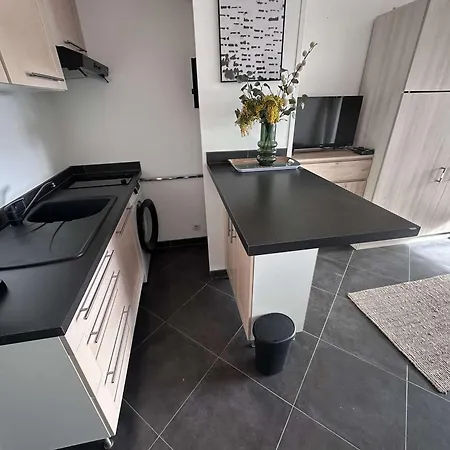 Apartment Studio-cabine Climatise Pour 4 Pers. Avec Parking Prive, Proche A Port Camargue - Fr-1-731-133 *