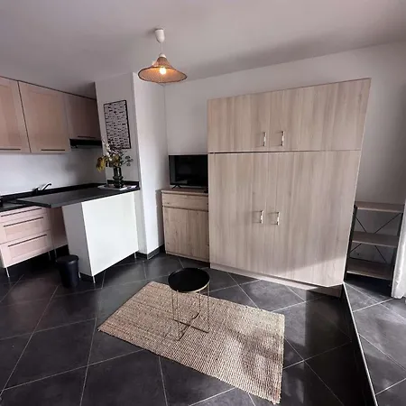 Studio-cabine Climatise Pour 4 Pers. Avec Parking Prive, Proche A Port Camargue - Fr-1-731-133 * Le Grau-du-Roi